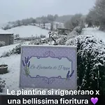 La Lavanda Di Mini “angustifolia “ Çiftlik konaklama Poppi
