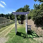 La Lavanda Di Mini “angustifolia “ *