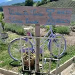 La Lavanda Di Mini “angustifolia “ Poppi