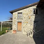 La Lavanda Di Mini “angustifolia “ Poppi