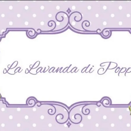 La Lavanda Di Mini “angustifolia “ Farm stay Poppi