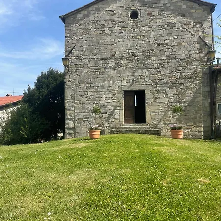 La Lavanda Di Mini “angustifolia “