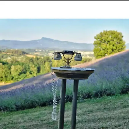 Farm stay La Lavanda Di Mini “angustifolia “ Poppi