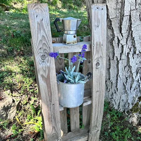 בית חווה La Lavanda Di Mini “angustifolia “ פופי