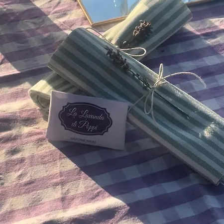 La Lavanda Di Mini “angustifolia “ * Poppi